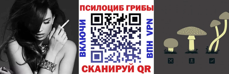 Псилоцибиновые грибы Magic Shrooms кракен tor Новотитаровская магазин
