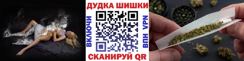 Бошки марихуана сатива  закладки  Новотитаровская 